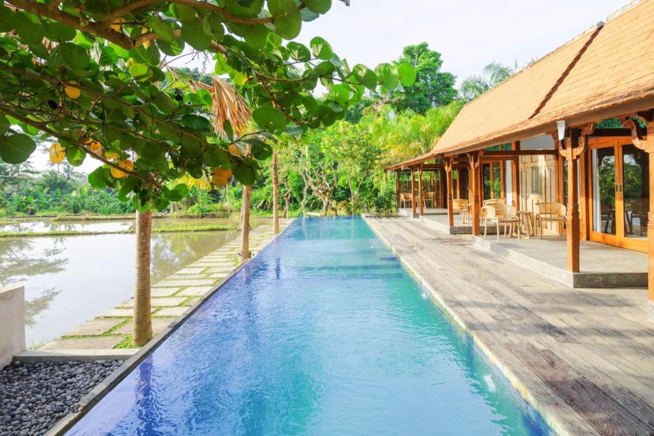 Nayaka Living Ubud المظهر الخارجي الصورة